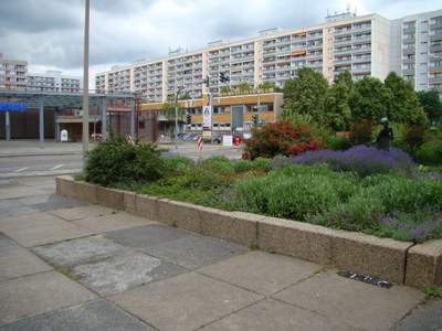 Exkursion in Quartier Nördliche Johannstadt in Dresden Exkursion in Quartier Nördliche Johannstadt in Dresden